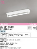 ODELIC ǥå ١饤 XL551653RþʾLEDη¡ʰΡѤ䡡Ҹ -LIGHTING DEPOT-