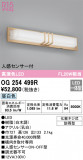 ODELIC ǥå ƥꥢ饤 OG254499RþʾLEDη¡ʰΡѤ䡡Ҹ -LIGHTING DEPOT-