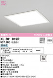 ODELIC ǥå ١饤 XL501019RþʾLEDη¡ʰΡѤ䡡Ҹ -LIGHTING DEPOT-