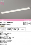 ODELIC ǥå LED å饤 OL291648LRþʾLEDη¡ʰΡѤ䡡Ҹ -LIGHTING DEPOT-