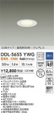 DAIKO ŵ LED饤 DDL-5655YWGþʾLEDη¡ʰΡѤ䡡Ҹ -LIGHTING DEPOT-
