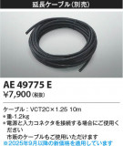 Koizumi ߾ Ĺ֥ AE49775EþʾLEDη¡ʰΡѤ䡡Ҹ -LIGHTING DEPOT-