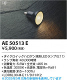Koizumi ߾ LED AE50513EþʾLEDη¡ʰΡѤ䡡Ҹ -LIGHTING DEPOT-
