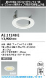 Koizumi ߾ ˥塼ץ졼 AE51248EþʾLEDη¡ʰΡѤ䡡Ҹ -LIGHTING DEPOT-