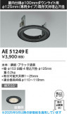 Koizumi ߾ ˥塼ץ졼 AE51249EþʾLEDη¡ʰΡѤ䡡Ҹ -LIGHTING DEPOT-