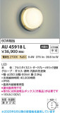 Koizumi ߾ LEDɱɼ֥饱å AU45918LþʾLEDη¡ʰΡѤ䡡Ҹ -LIGHTING DEPOT-