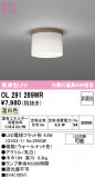ODELIC ǥå 󥰥饤 OL291269WRþʾLEDη¡ʰΡѤ䡡Ҹ -LIGHTING DEPOT-