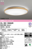 ODELIC ǥå 󥰥饤 OL291558GRþʾLEDη¡ʰΡѤ䡡Ҹ -LIGHTING DEPOT-