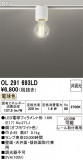 ODELIC ǥå 󥰥饤 OL291693LDþʾLEDη¡ʰΡѤ䡡Ҹ -LIGHTING DEPOT-