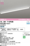 ODELIC ǥå ١饤 OL291712R3BþʾLEDη¡ʰΡѤ䡡Ҹ -LIGHTING DEPOT-