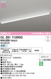 ODELIC ǥå ١饤 OL291712R3CþʾLEDη¡ʰΡѤ䡡Ҹ -LIGHTING DEPOT-