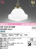 ODELIC ǥå ڥȥ饤 OP210571NRþʾLEDη¡ʰΡѤ䡡Ҹ -LIGHTING DEPOT-