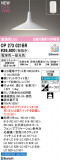 ODELIC ǥå ڥȥ饤 OP273021BRþʾLEDη¡ʰΡѤ䡡Ҹ -LIGHTING DEPOT-