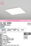 ODELIC ǥå ١饤 XL501059RþʾLEDη¡ʰΡѤ䡡Ҹ -LIGHTING DEPOT-