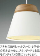ħ̿ Koizumi ߾ LEDڥ AP51085