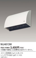 Panasonic ޡɱ祤ȥܥå WJ4613W