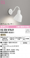 ODELIC ǥå ƥꥢ饤 OG254675LR