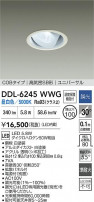 DAIKO ŵ LED˥С饤 DDL-6245WWG