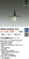 DAIKO ŵ LEDڥ DPN-42456YG