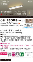 Panasonic ۲ SLB50658LB1