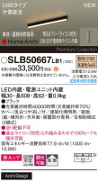 Panasonic ۲ SLB50667LB1