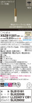 Panasonic ڥ XSZB11207CB1