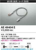 Koizumi ߾ ѡʱĹ˥ AE49404E