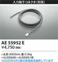Koizumi ߾ üҥͥ AE55952E