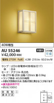 Koizumi ߾ LEDɱ֥饱å AU55246