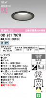 ODELIC ǥå ƥꥢ饤 OD261797R
