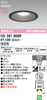 ODELIC ǥå ƥꥢ饤 OD261809R