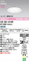 ODELIC ǥå ƥꥢ饤 OD261813R