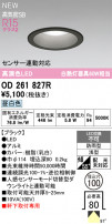 ODELIC ǥå ƥꥢ饤 OD261827R