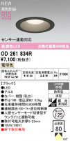 ODELIC ǥå ƥꥢ饤 OD261834R