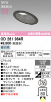 ODELIC ǥå ƥꥢ饤 OD261984R