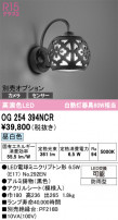 ODELIC ǥå ƥꥢ饤 OG254394NCR
