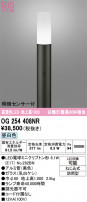 ODELIC ǥå ƥꥢ饤 OG254408NR