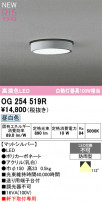ODELIC ǥå ƥꥢ饤 OG254519R