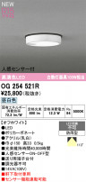 ODELIC ǥå ƥꥢ饤 OG254521R