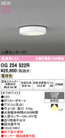 ODELIC ǥå ƥꥢ饤 OG254522R