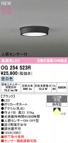 ODELIC ǥå ƥꥢ饤 OG254523R