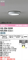 ODELIC ǥå ƥꥢ饤 OG254525R