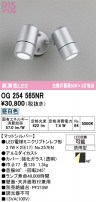 ODELIC ǥå ƥꥢ饤 OG254565NR