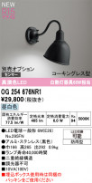 ODELIC ǥå ƥꥢ饤 OG254676NR1