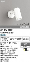 ODELIC ǥå ƥꥢ饤 OG254718P1