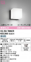 ODELIC ǥå ƥꥢ饤 OG254799NCR