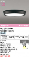 ODELIC ǥå ƥꥢ饤 OG254809R