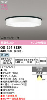 ODELIC ǥå ƥꥢ饤 OG254813R