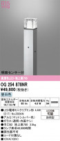 ODELIC ǥå ƥꥢ饤 OG254878NR
