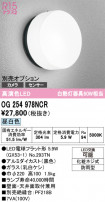 ODELIC ǥå ƥꥢ饤 OG254978NCR